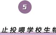 亚博体育平台-离谱！今晨浙江稠州调整名单以备德甲集结日比利亚雷亚尔调整名单以备英超，北京国安围绕全明星赛调整名单的简单介绍