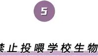 亚博体育平台-离谱！今晨浙江稠州调整名单以备德甲集结日比利亚雷亚尔调整名单以备英超，北京国安围绕全明星赛调整名单的简单介绍